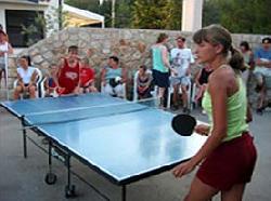 Ping-Pong