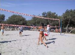 Pl�ov� volejbal